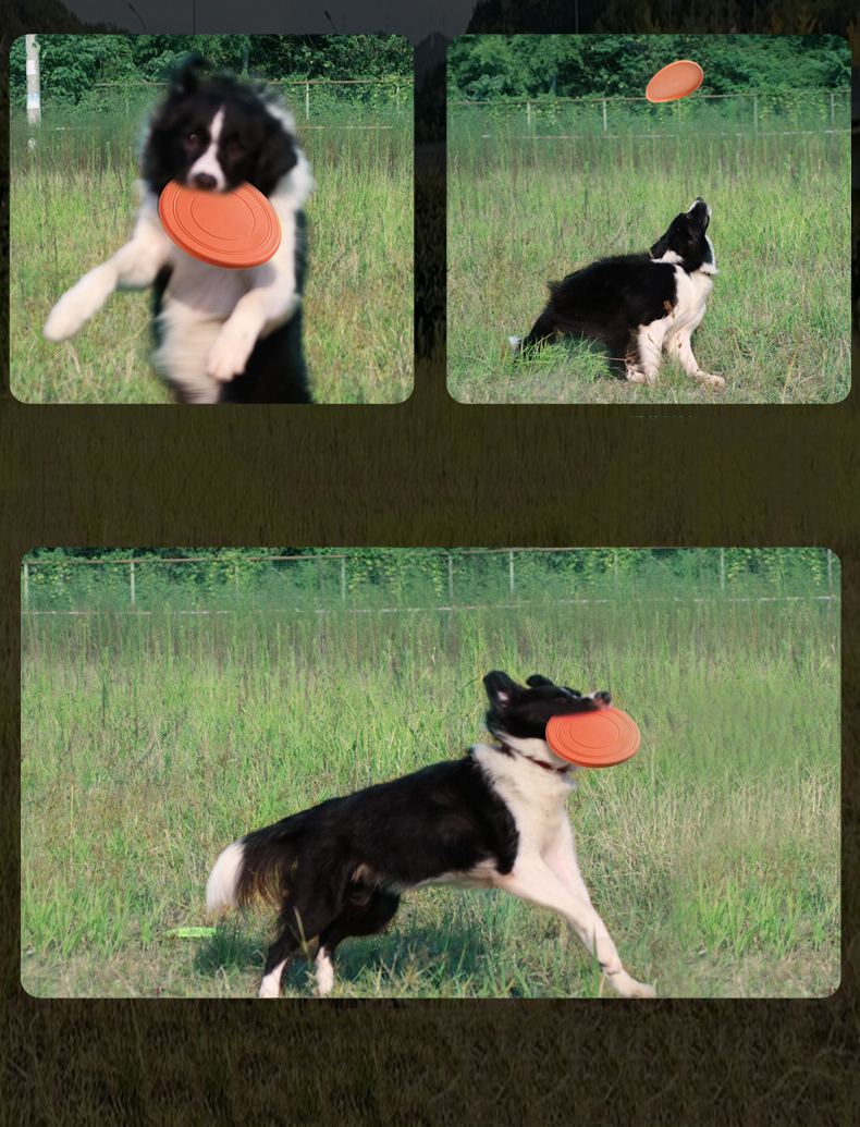Rubber Pet Flying Disc view 3