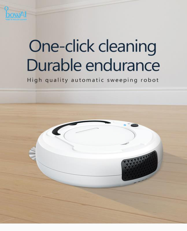 Economy Robot Vacuum Cleaner Intelligence