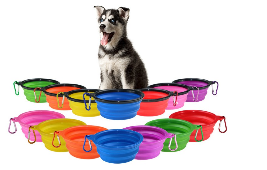 Economy Collapsible Pet Bowl w/ Carabiner view 3