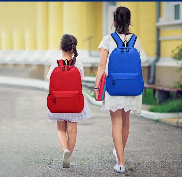 Wholesale Economy Custom Logo Back-To-School School Backpack view 3